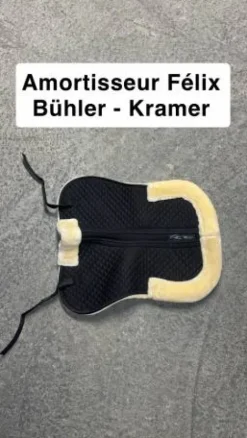 Sale Amortisseur Félix Bühler - Kramer Amortisseurs De Dos