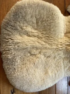 Best Amortisseur mouton Werner Amortisseurs De Dos