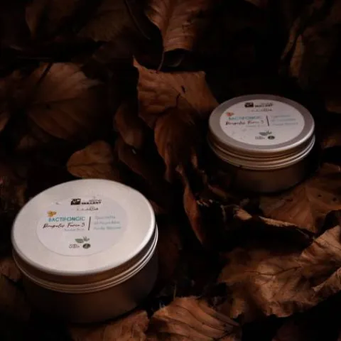 Bactifongic Baume Bio Propolis Fourmilière Force 5 Produits De Soin Sabots
