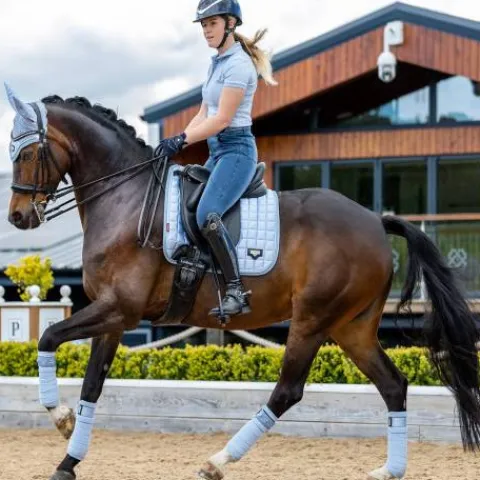 Best Bandages de polo Loire - Bandages