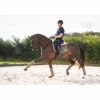Hot Bandes de polo GEM COLLECTION - SMOKY QUARTZ Bandages