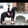 Online Bandes de polo My Passion - Divine Rose Bandages