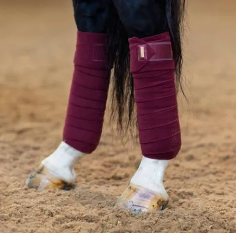 Sale Bandes de polo New Maroon - Bandages