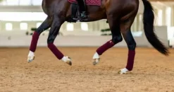 Sale Bandes de polo New Maroon - Bandages