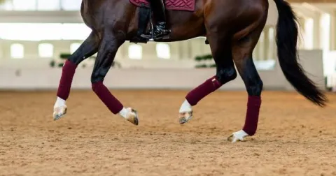 Sale Bandes de polo New Maroon - Bandages