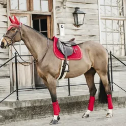 New Bandes de polo Velvet  - Kentucky Bandages