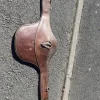 Sale Bavette Éric Thomas 125 Sangles