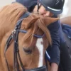 Sale Bombe Antares Protections De Tête·Casques D'équitation