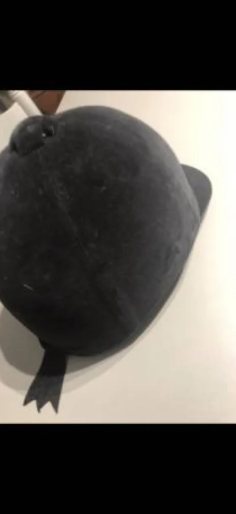 Bombe équitation Protections De Tête·Casques D'équitation