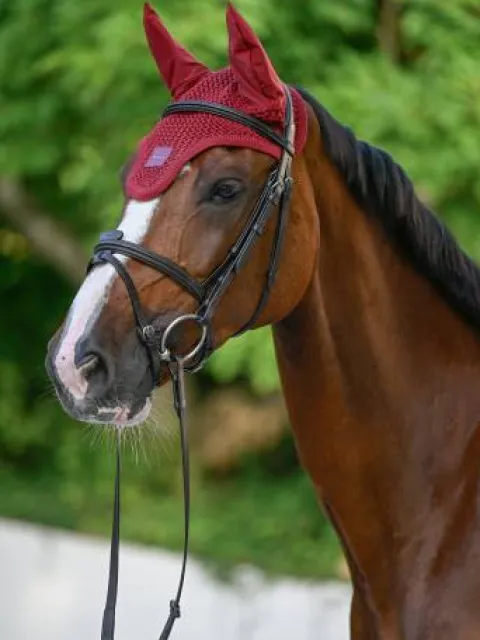New Bonnet anti-mouches Cabernet - Bonnets|Bonnet Cheval