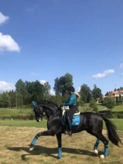 Bonnet Bleu canard - Pool Party - Bonnets|Bonnet Cheval