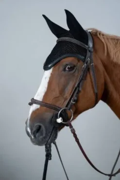 Clearance Bonnet cheval Filou Bonnets|Bonnet Cheval