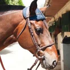 Sale Bonnet de chaleur Bonnets|Bonnet Cheval
