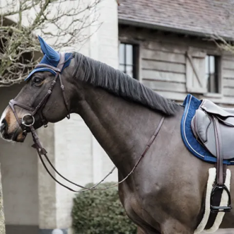 New Bonnet Wellington Basic Velvet Marine - Kentucky Bonnets|Bonnet Cheval
