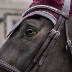 Best Bonnet Wellington Velvet Contrast - Kentucky Bonnets|Bonnet Cheval