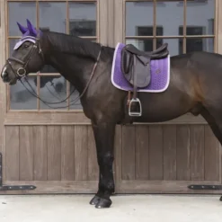 Best Bonnet Wellington Velvet Contrast - Kentucky Bonnets|Bonnet Cheval