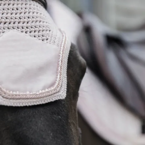 Online Bonnet Wellington Velvet Pearl - Kentucky Bonnets|Bonnet Cheval