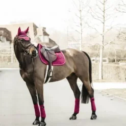 New Bonnet Wellington Velvet - Kentucky Bonnets|Bonnet Cheval