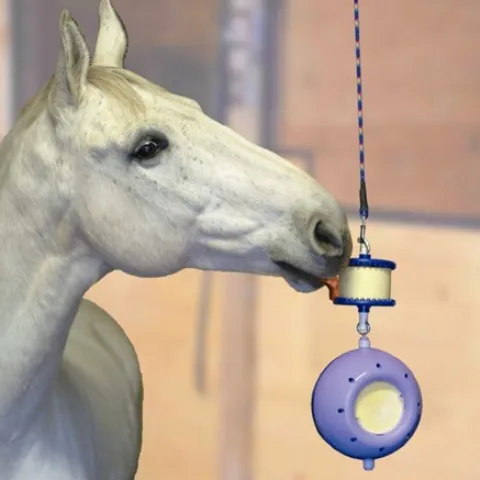 Online Boredom Breaker double support - Aménagement De L'Écurie·Jouets Pour Chevaux
