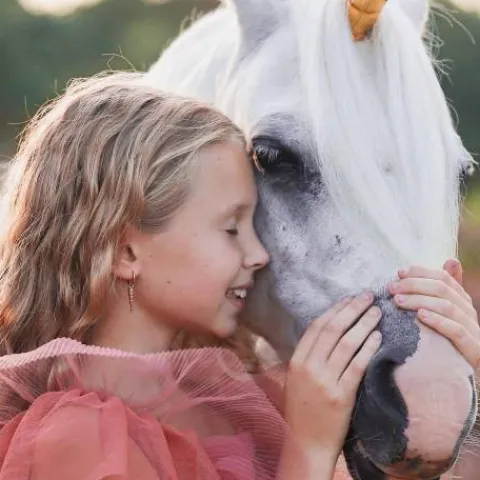 Hot Boucles d'oreille Unicorn Stories - Bijoux