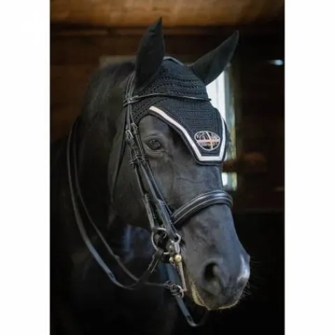 Clearance Bride de dressage vernie - Collection week - Bridons Et Brides·Bride De Dressage|Brides De Dressage
