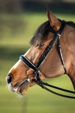 Best Bride de dressage Weymouth Bridons Et Brides·Bride De Dressage|Brides De Dressage