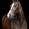 Bride dina noir cheval Bridons Et Brides·Bride De Dressage|Brides De Dressage