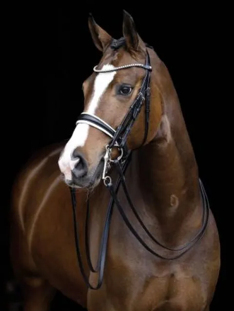 Bride dina noir cheval Bridons Et Brides·Bride De Dressage|Brides De Dressage