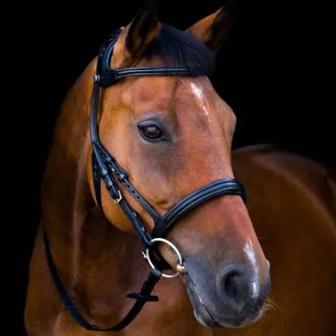 Bridon 2500 Freedom - Stübben Bridons Et Brides·Bridon Anatomique|Bridons Et Brides·Bridon Cuir
