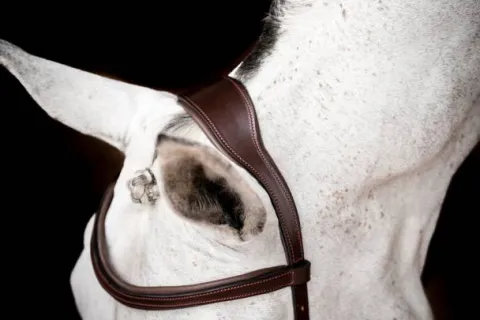 New Bridon de compétition micklem2 - - pour petit cheval Bridons Et Brides·Bridon Cuir