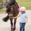 Hot Bridon diva stella Harry's horse Bridons Et Brides·Bridon Cuir