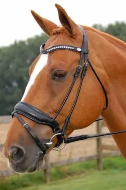 Discount Bridon dressage Dy'on muserolle combinée large Bridons Et Brides·Bridon Anatomique