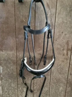 Clearance Bridon dressage vernis et blanc taille cob Bridons Et Brides·Bridon Cuir