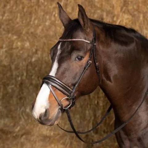 Bridon Rosegold Wide - Harry's Horse Bridons Et Brides·Bridon Cuir