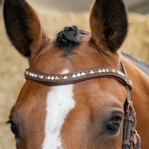 Online Bridon Soft Bombastic Crystals - HARRY'S HORSE Bridons Et Brides·Bridon Anatomique|Bridons Et Brides·Bridon Cuir
