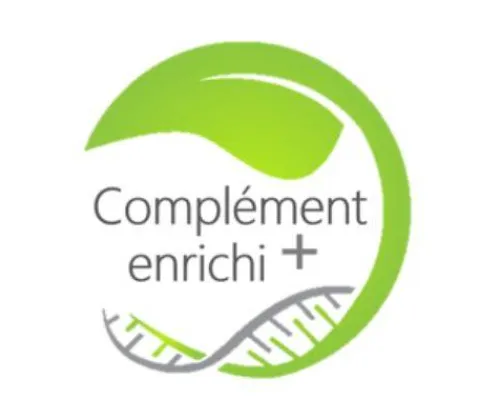 Best Broncho Pulm - LABORATOIRE Appareil Respiratoire·Emphysème Cheval|Appareil Respiratoire·Toux Et Irritations