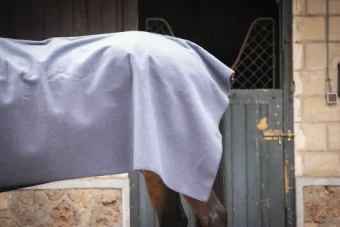 Outlet Carré Wooltouch Paddock Sport (2 coloris) Couvertures Cheval