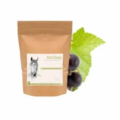 Outlet Cassis Cheval - Confort des Articulations - Membres·Articulations|Bien-Être Du Cheval·Plantes Pour Chevaux