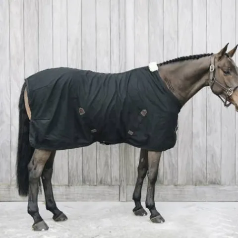 Online Chemise coton - Kentucky Chemises Cheval
