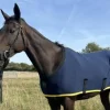 Chemise coton bio - Classique Multi Pack 2 Chemises Cheval