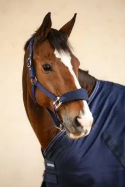 Online Chemise d'écurie Rafale Couvertures Cheval