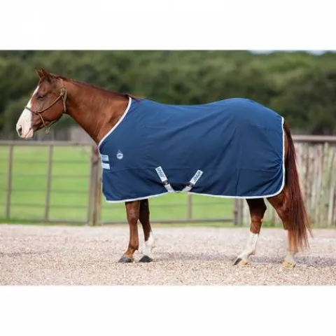 Clearance Chemise de box - Horseware Chemises Cheval