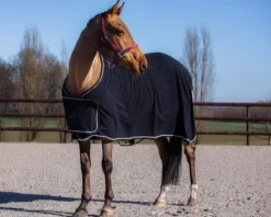Online Chemise de présentation polaire Chemises Cheval