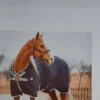 Online Chemise Hélix disc neuve Chemises Cheval