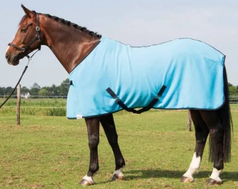 Online Chemise polaire Harry's horse Chemises Cheval