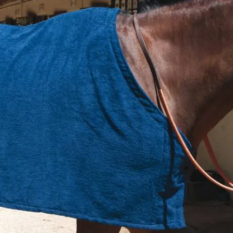 Hot Chemise éponge séchante - Chemises Cheval