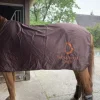 Chemise pour cheval Chemises Cheval