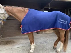 Chemise pour cheval Chemises Cheval