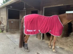 Chemise pour cheval Chemises Cheval
