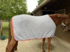 Chemise pour cheval Chemises Cheval